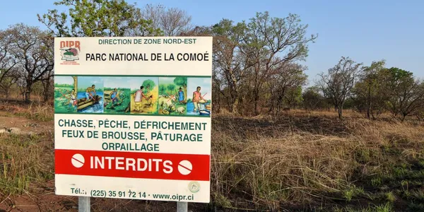 Parc de la Comoé: un braconnier abat six céphalophes et prend 12 mois de prison ferme