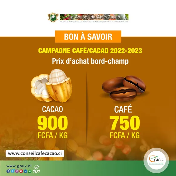 Campagne café/cacao 2022 – 2023: les prix d’achat bord champ dévoilés