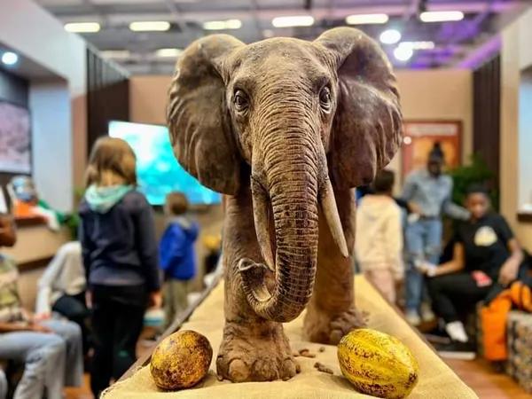 Salon du Chocolat de Paris 2022 : les chocolatiers ivoiriens presentent leur savoir-faire