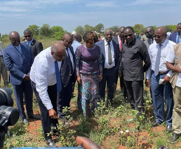 Côte d’Ivoire: les plantations de cotons décimées, « il faut faire vite, autrement, la campagne à venir sera elle aussi compromise »