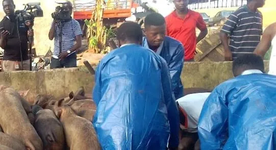 Des sites d’abattages clandestins démantelés à Abidjan