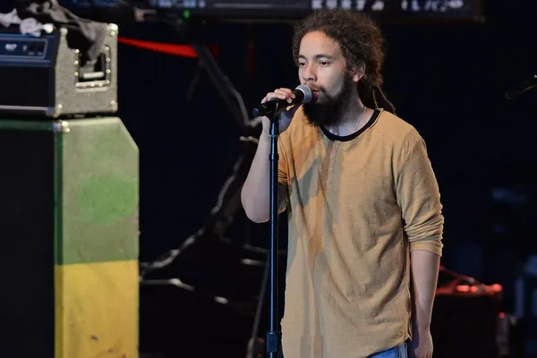 Décès du petit-fils de Bob Marley: Jo Mersa Marley retrouvé mort dans son véhicule