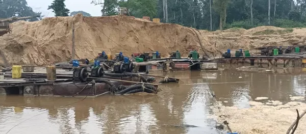 Orpaillage illégal en Côte d’Ivoire : 80 % des sites détruits en 11 mois