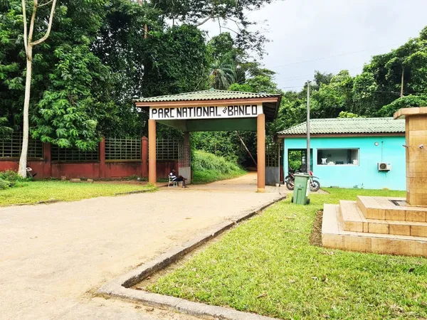 Parc national du Banco: le « poumon vert » d’Abidjan
