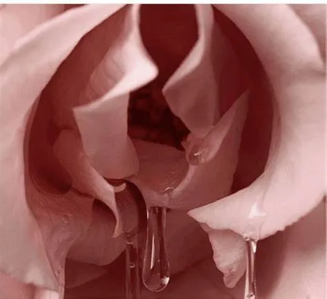Pertes blanches