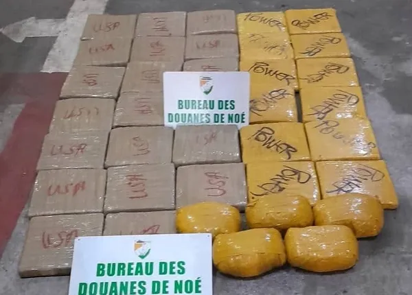 Trafic de drogue: 29 kg de cannabis saisis à Aboisso, Fatoukro