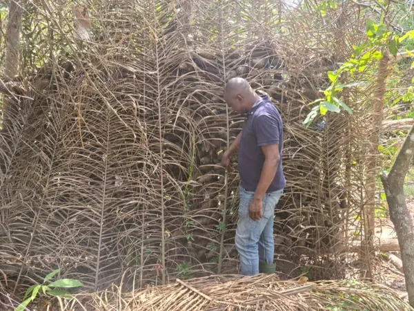 Vincent Toh Bi ses conseils aux Ivoiriens : « Y’a lahan dedans »