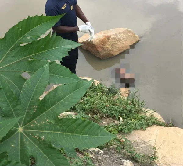 Le corps flottant en lagune d’un nouveau né repêché sur la voie exprès Yopougon -Adjamé: des images