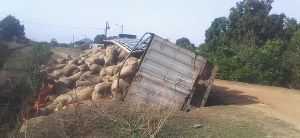 Accident à Zéguétiéla: un camion avec plus de 35 tonnes de noix de cajou chute dans un ravin