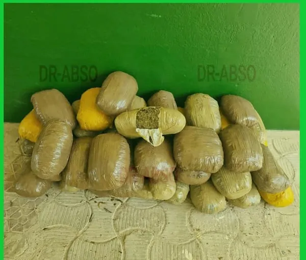 Trafic de drogue Côte d’Ivoire: nouveau coup de filet de la police ivoirienne, saisie 43 kg de cannabis à Koffikro