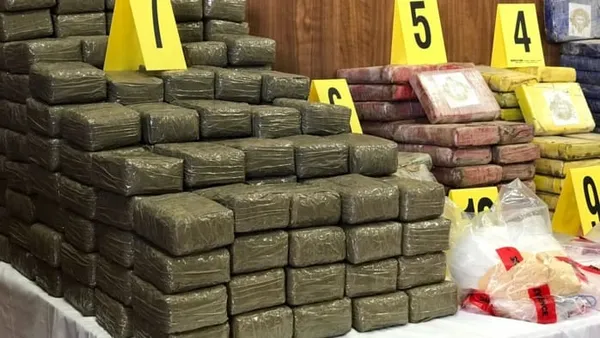 Saisie de cannabis