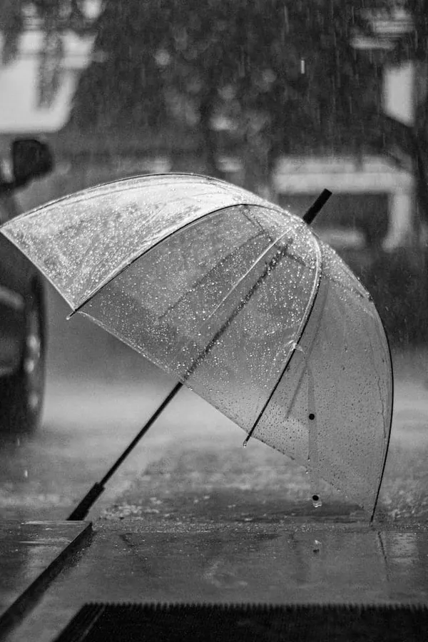 Saison des pluies