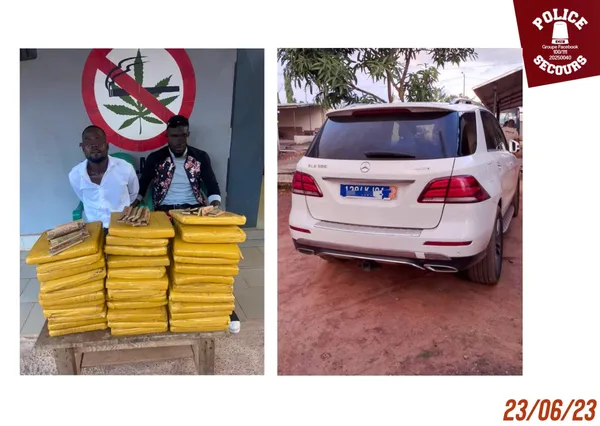Trafic de drogue Côte d’Ivoire: une importante quantité de cannabis saisie à Gagnoa, deux personnes arrêtées