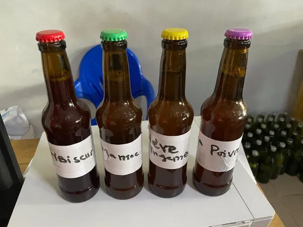 Démantèlement d’un réseau de production clandestine de boissons alcoolisées à Yopougon: des images