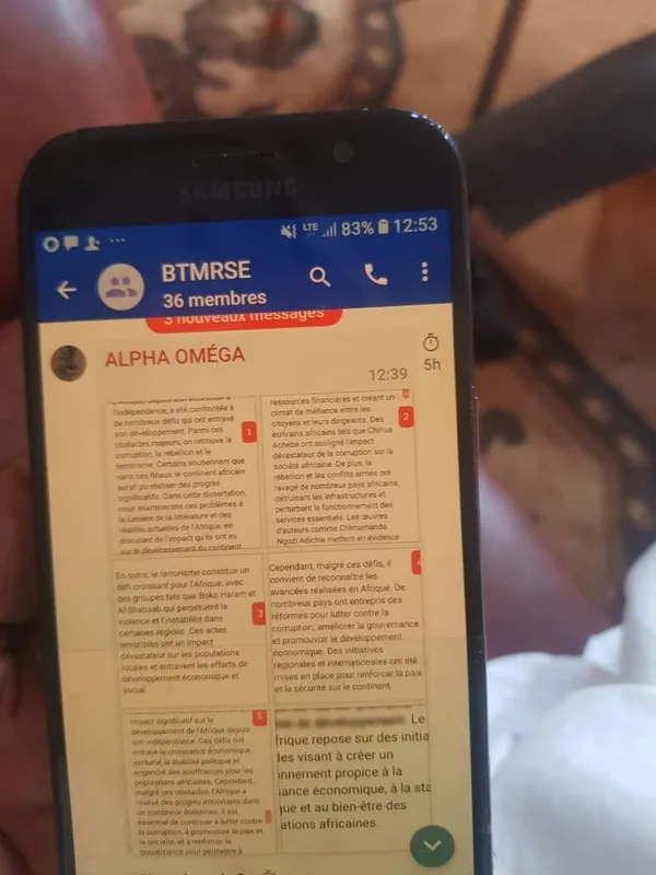 BAC 2023 Guinée : des candidats arrêtés, plusieurs réseaux WhatsApp démantelés