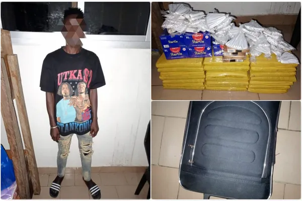 Bouaké : saisie record de cannabis à Kanawolo, un dealer arrêté