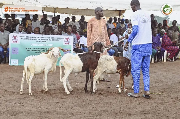 Le projet « Pro-Abattoirs » à Bouaké