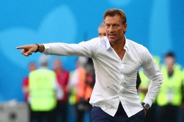 Hervé Renard raconte : voici comment j’ai été approché par les Éléphants, « J’aurais aimé aider la Côte d’Ivoire