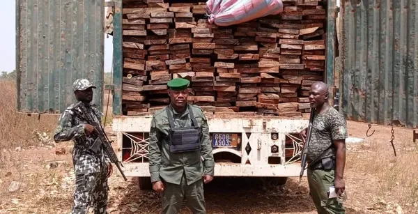 Trafic de bois en Côte d’Ivoire : Saisie d’un véhicule à Korhogo
