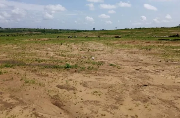 Terrain en Côte d'Ivoire