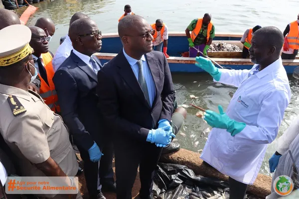 Découverte de poissons morts à Koumassi : les causes connues ? le gouvernement prend la situation en main