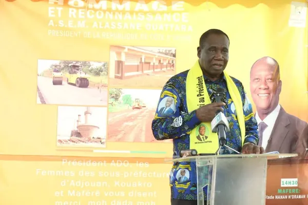 Ahoua N'doli Théophile, Inspecteur général d'Etat
