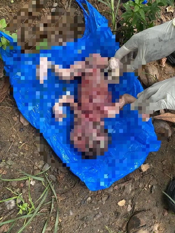 Macabre découverte : un nouveau-né retrouvé sans vie dans un caniveau à Abobo