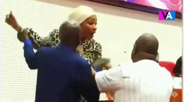 Coups de poing et insultes au Parlement de la CEDEAO
