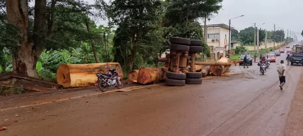 Abengourou, un grumier se renverse en plein centre-ville
