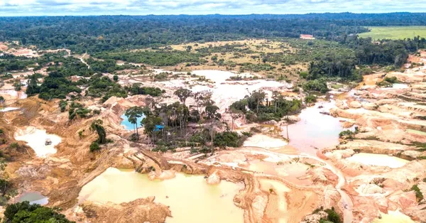 Orpaillage clandestin en Côte d'Ivoire