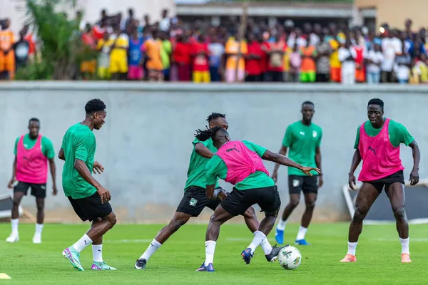 Les Éléphants de Côte d'Ivoire reprennent l'entraînement après leur victoire contre la Sierra Leone