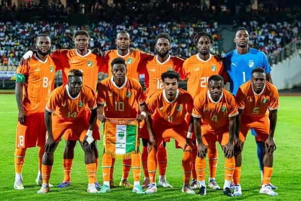 Éléphants de Côte d'Ivoire