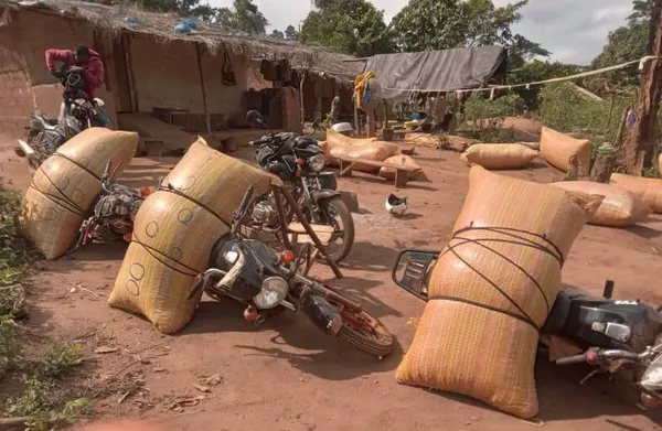 Trafic du cacao ivoirien à Sipilou