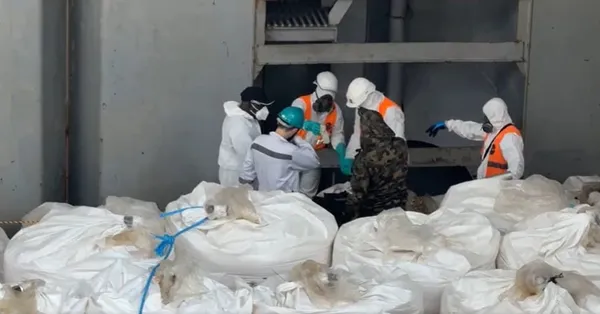 Port d’Abidjan : immersion dans le protocole de sécurité du Zimrida