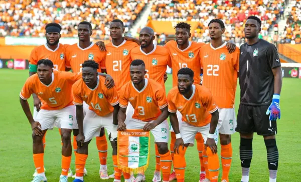Les Elephants de Côte d'Ivoire
