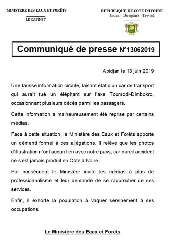 Accident éléphant-car de transport à Dimbokro: un fake new selon le ministre de eaux et forêts