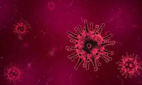 Coronavirus : les journalistes ivoiriens formés pour contribuer à la prévention du virus