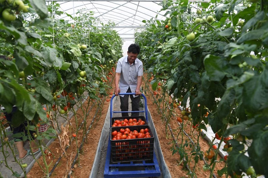 Xi Jinping exhorte la population Maonan à continuer à faire des efforts pour une meilleure vie – Actualités 20/05/2020