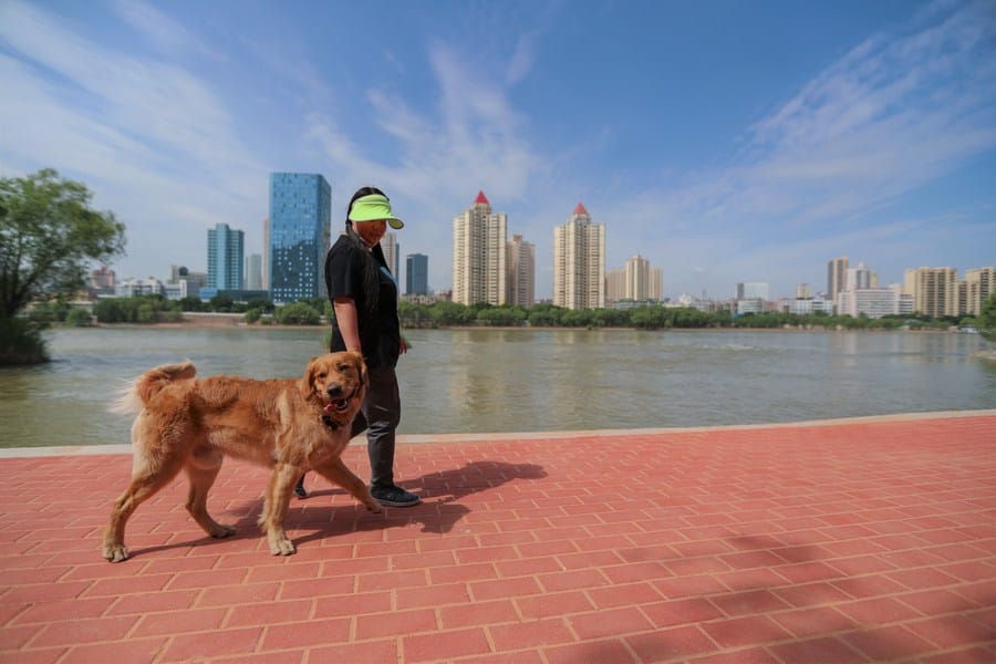 (COVID-19) La partie continentale de la Chine signale onze nouveaux cas importés – Actualités 17/06/2020