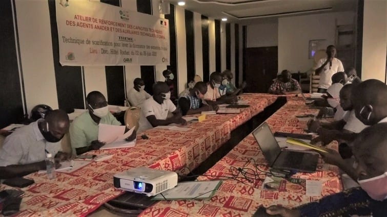 Le CNRA forme des partenaires techniques sur la méthode de germination rapide de la cola – Actualité ivoirienne 07/06/2020