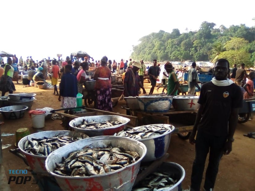 Début de la saison de pêche à Sassandra – Actualité ivoirienne 14/07/2020