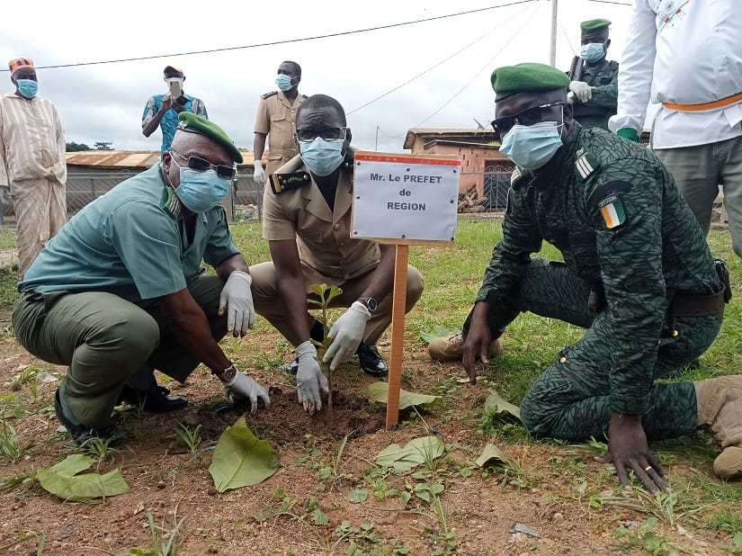 Journée nationale du planting d’arbres : 122 500 arbres plantés dans la DR des Eaux et Forêts de Séguéla – Actualité ivoirienne 25/07/2020