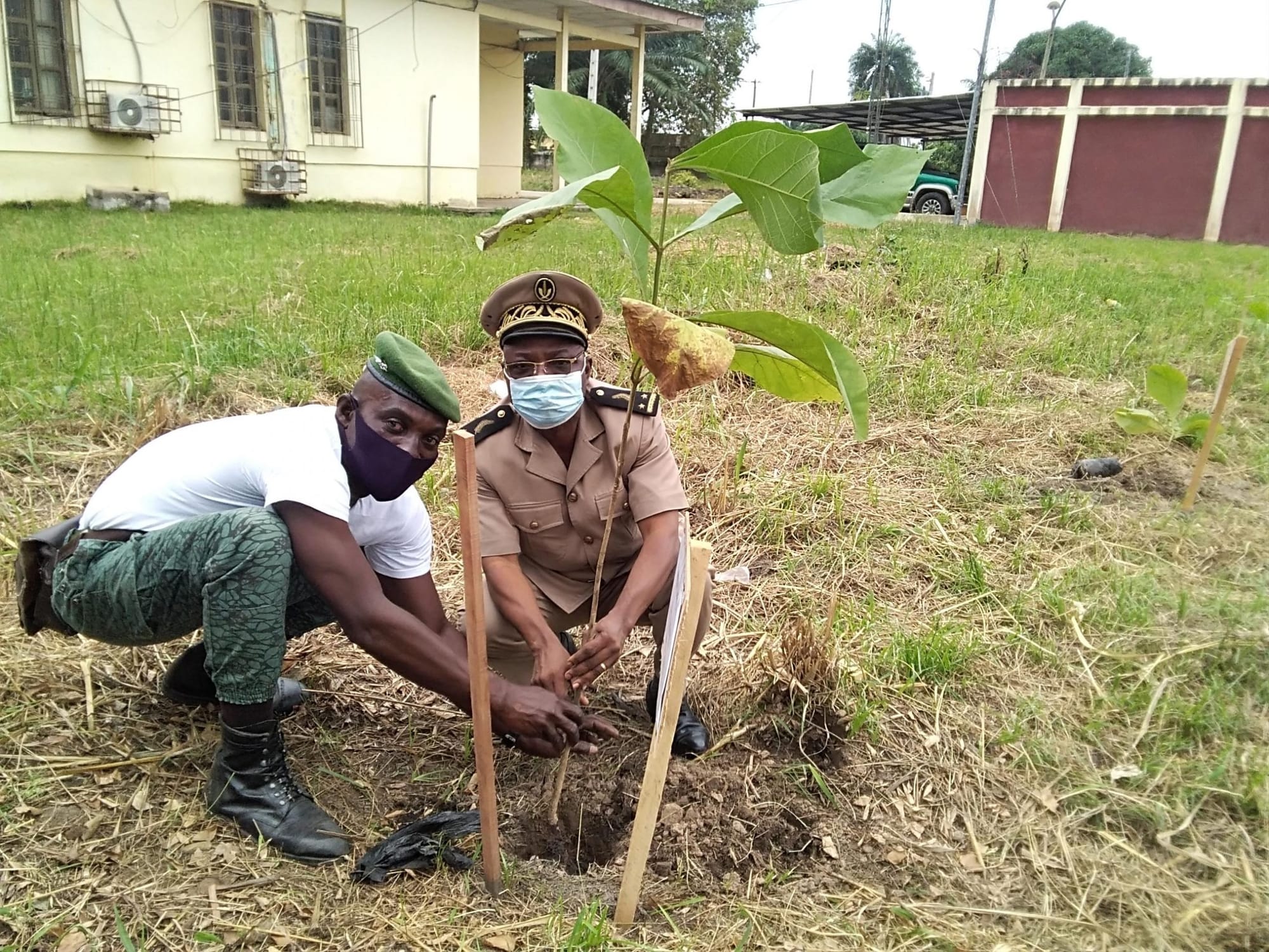 Journée nationale de l’arbre : un millier d’arbres plantés à Tiassalé – Actualité ivoirienne 25/07/2020