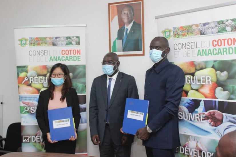 Une convention signée pour l’achat de 150.000 T de noix de cajou origine Côte d’Ivoire – Actualité ivoirienne 31/07/2020