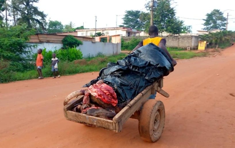 Alépé : l’abattoir municipal en mauvais état