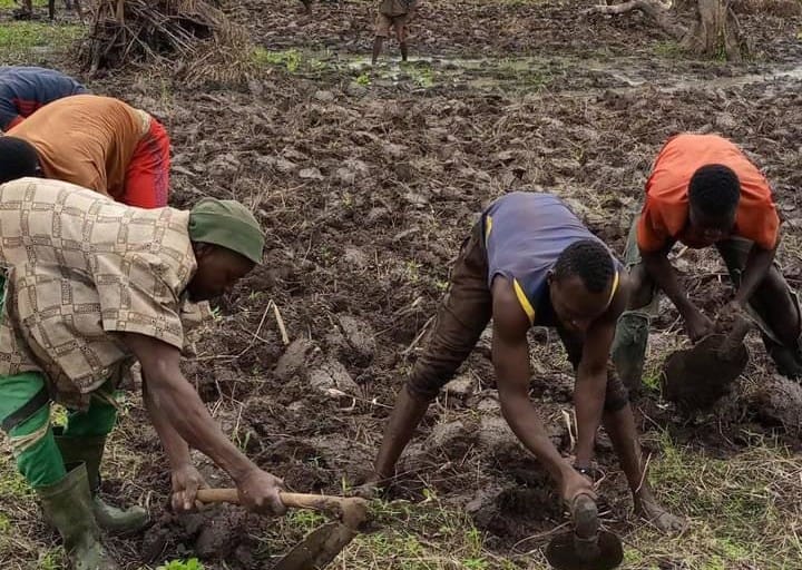 Oumé: La FENASCOVICI en soutien aux jeunes producteurs de maraîchers