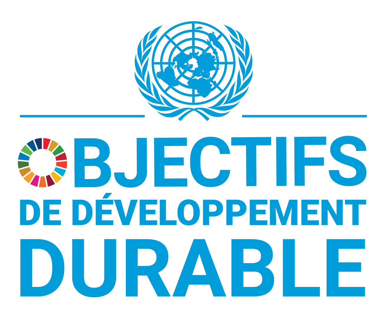 L’ONU lance un projet conjoint de financement des ODD au Ghana