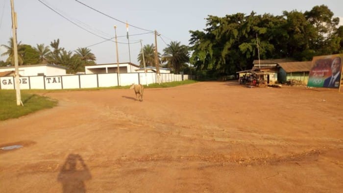 Violences à Taï : la ville toujours impactée par les tensions post-électorales