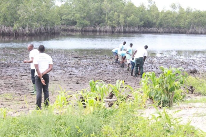 Près de 4600 personnes vivent de la pêche à Sassandra – Actualité ivoirienne 25/11/2020