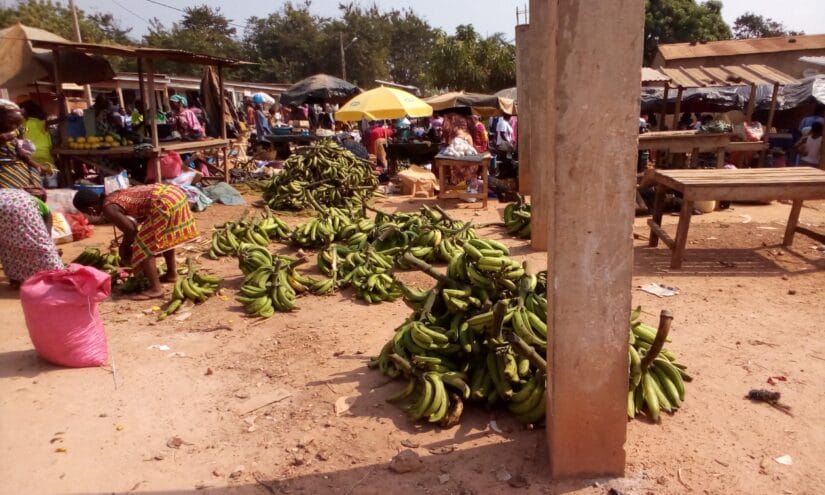 Des sous-préfectures de Bocanda et Kouassi-Kouassikro  bientôt dotées de plateformes de collecte et de distribution de produits agricoles – Actualité ivoirienne 24/12/2020